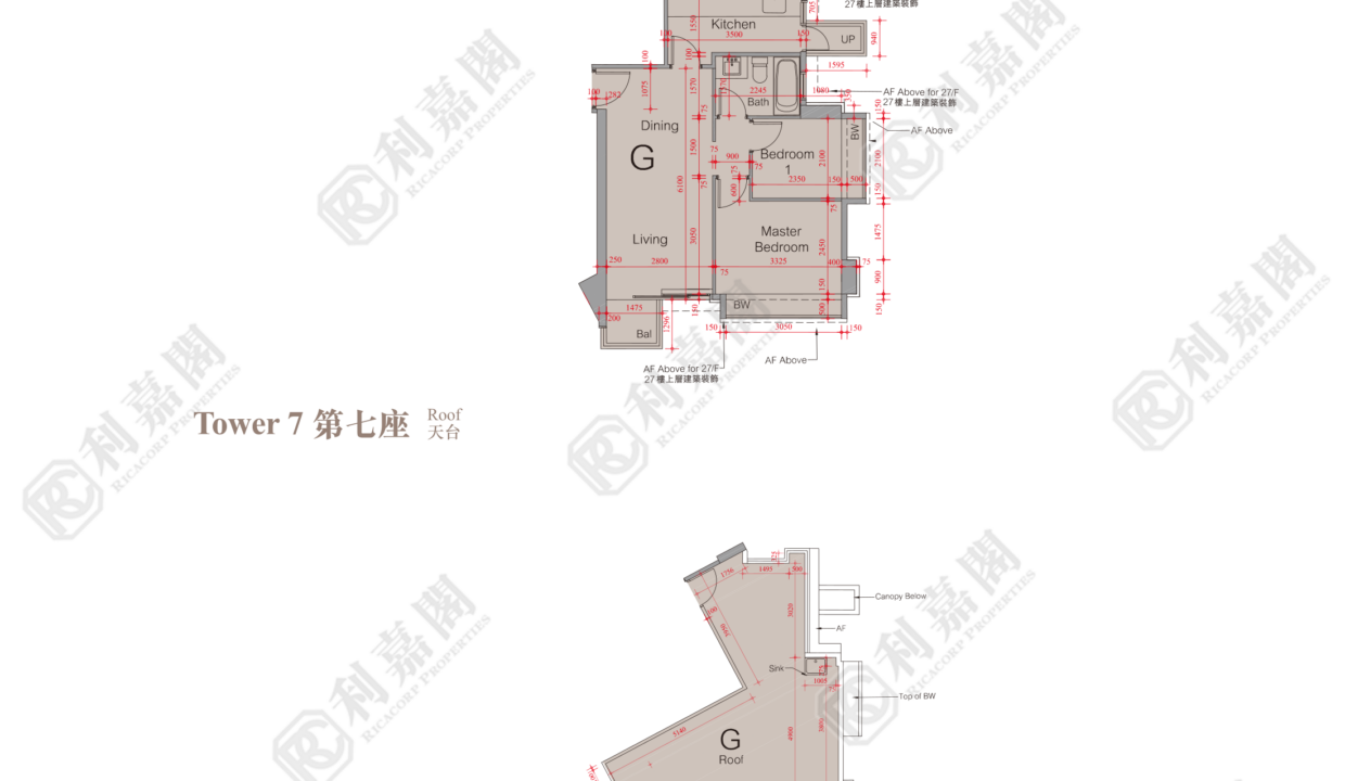 51517_2000_Ricacorp.png