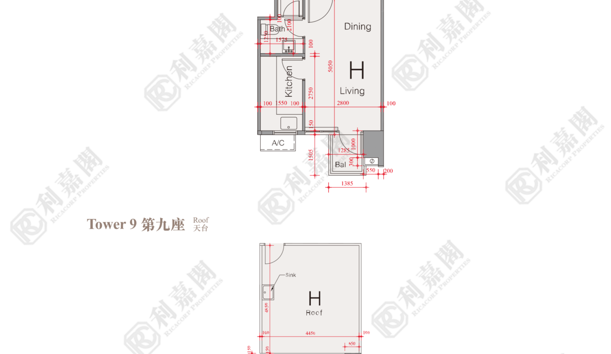 51548_2000_Ricacorp.png