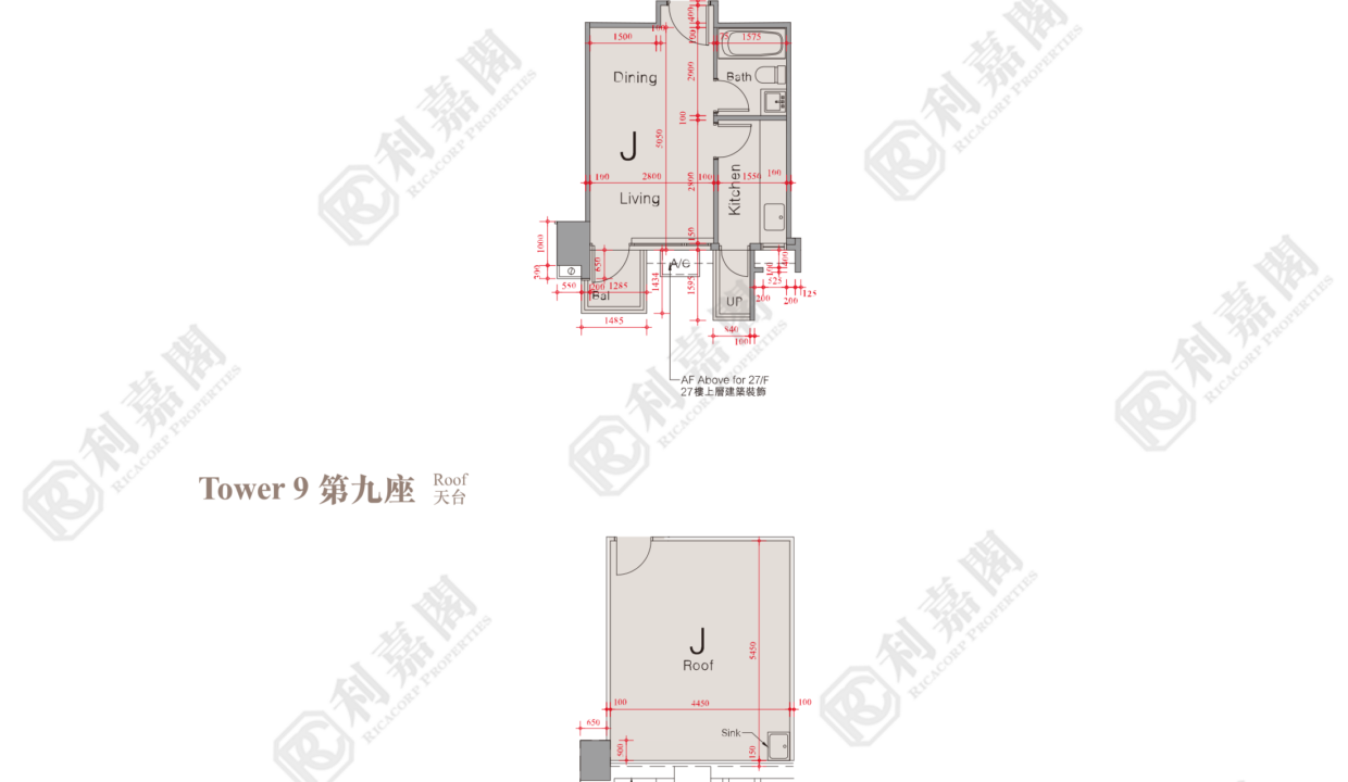51551_2000_Ricacorp.png