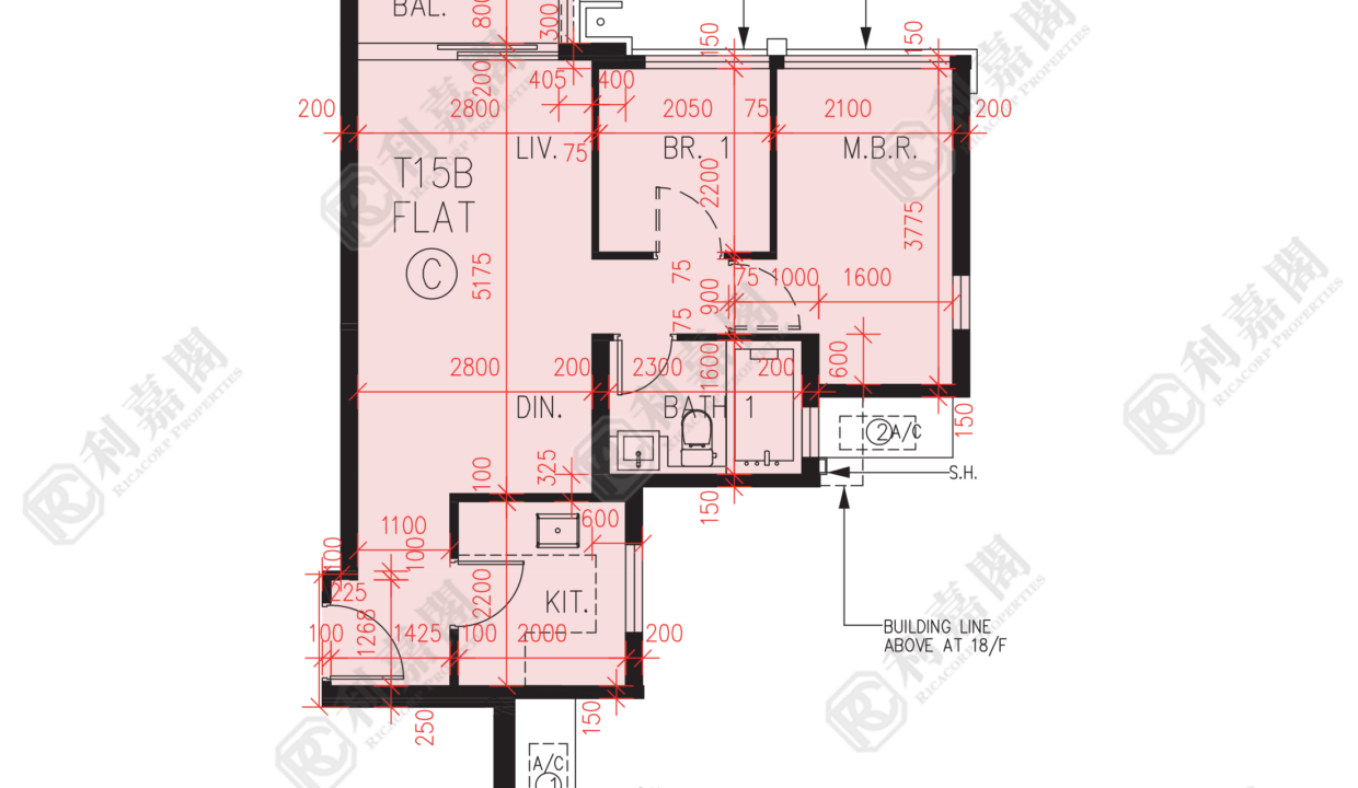 56970_2000_Ricacorp.png
