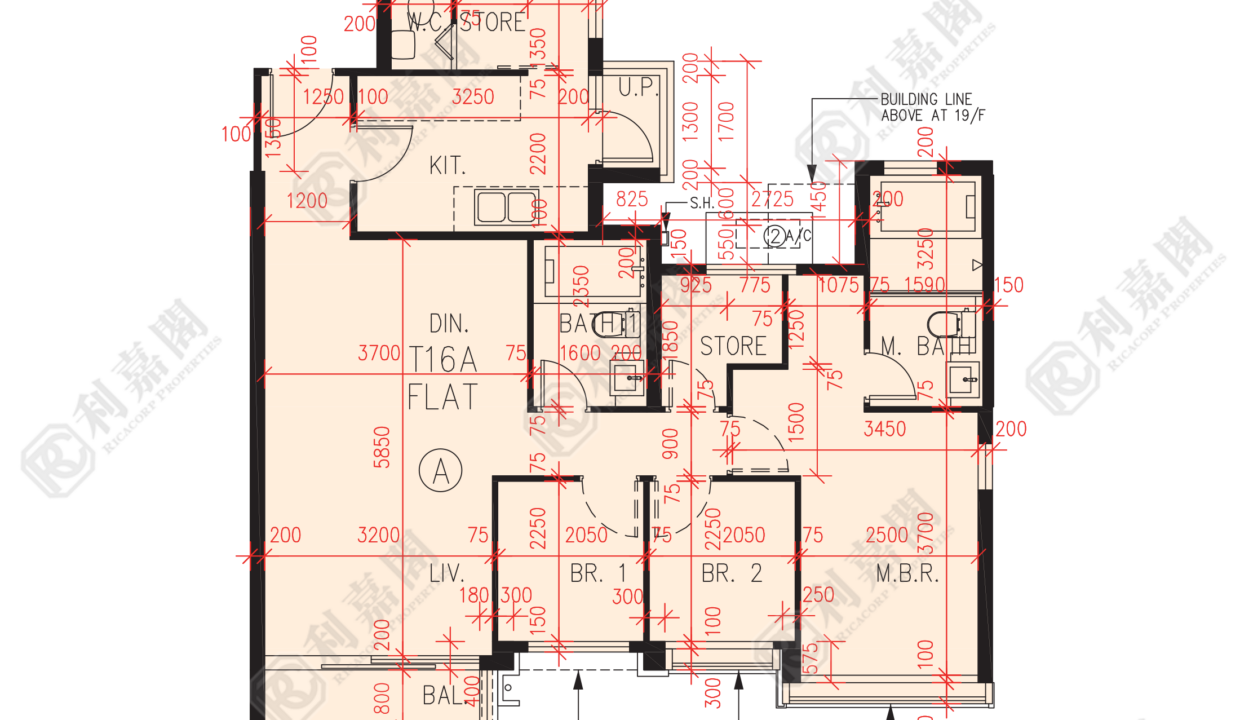 56979_2000_Ricacorp.png