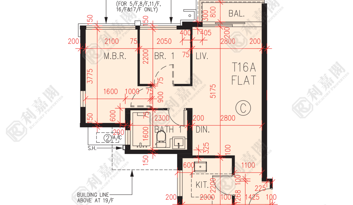 56987_2000_Ricacorp.png