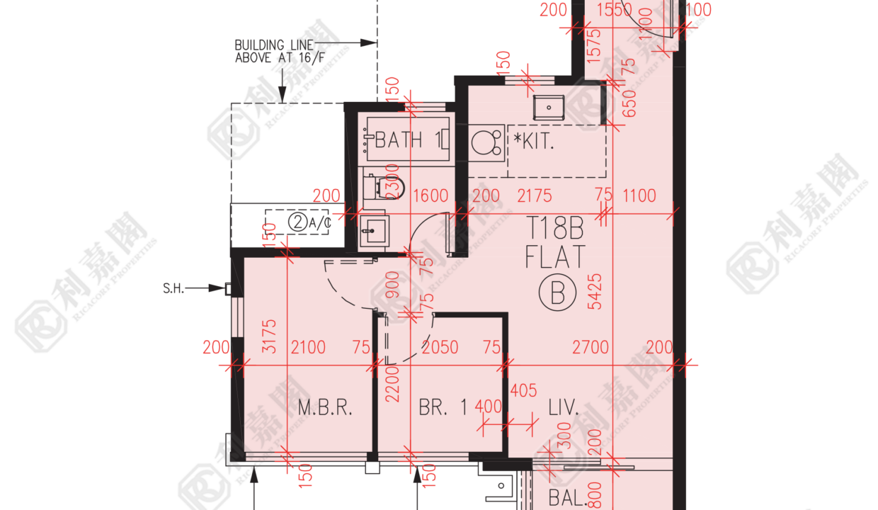 57023_2000_Ricacorp.png