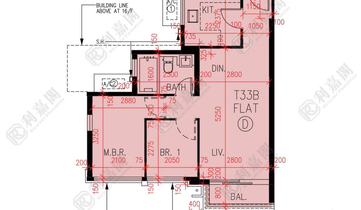 57134_2000_Ricacorp.png