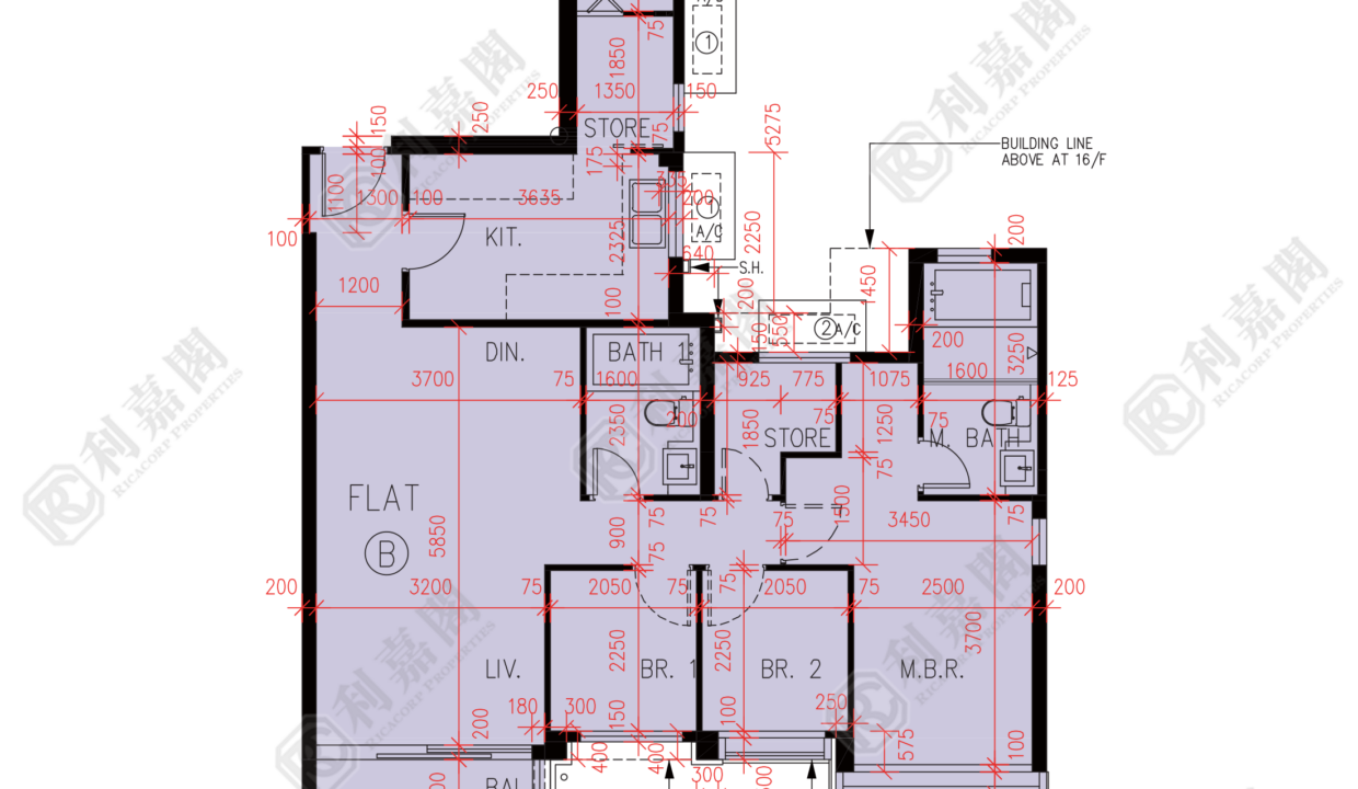 57184_2000_Ricacorp.png