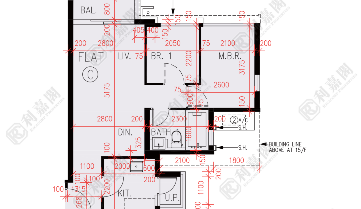 57225_2000_Ricacorp.png