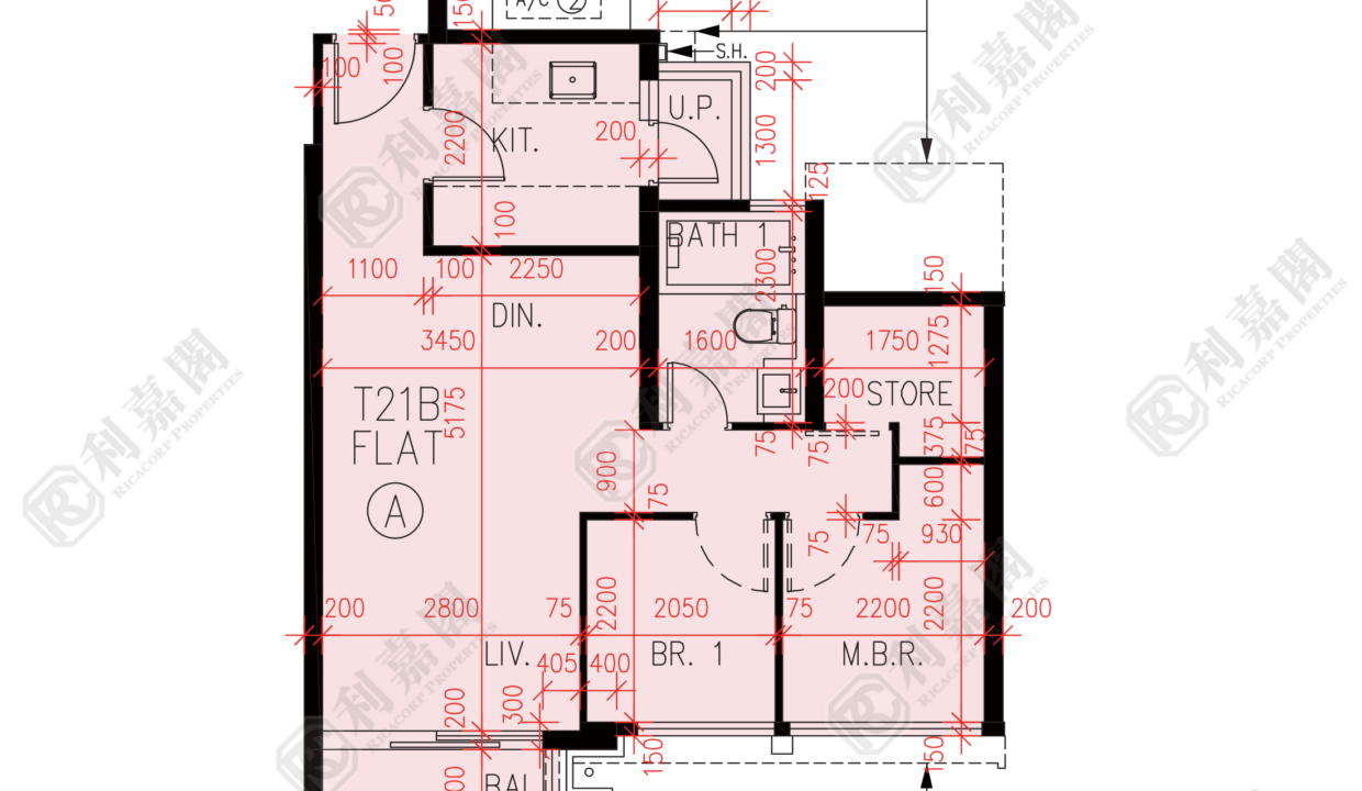 57245_2000_Ricacorp.png