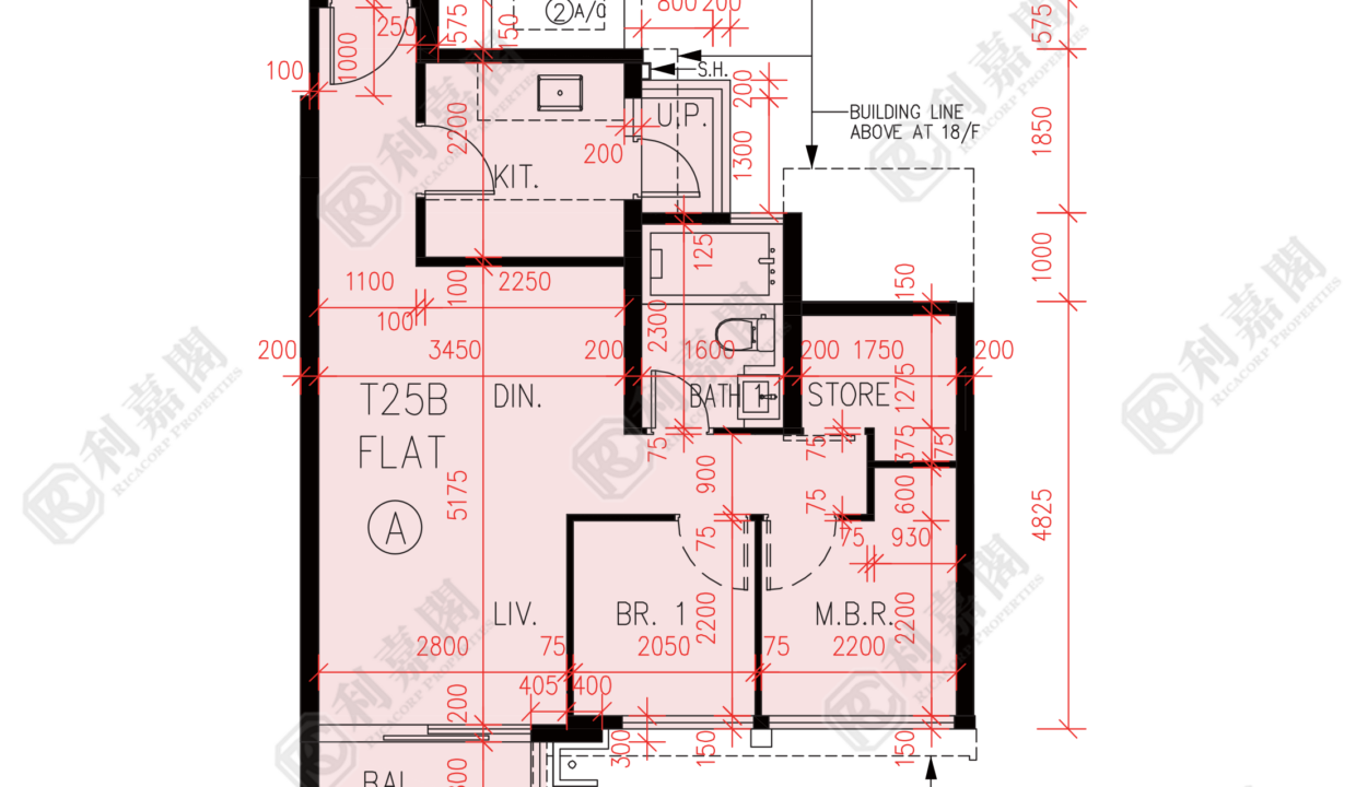 57301_2000_Ricacorp.png