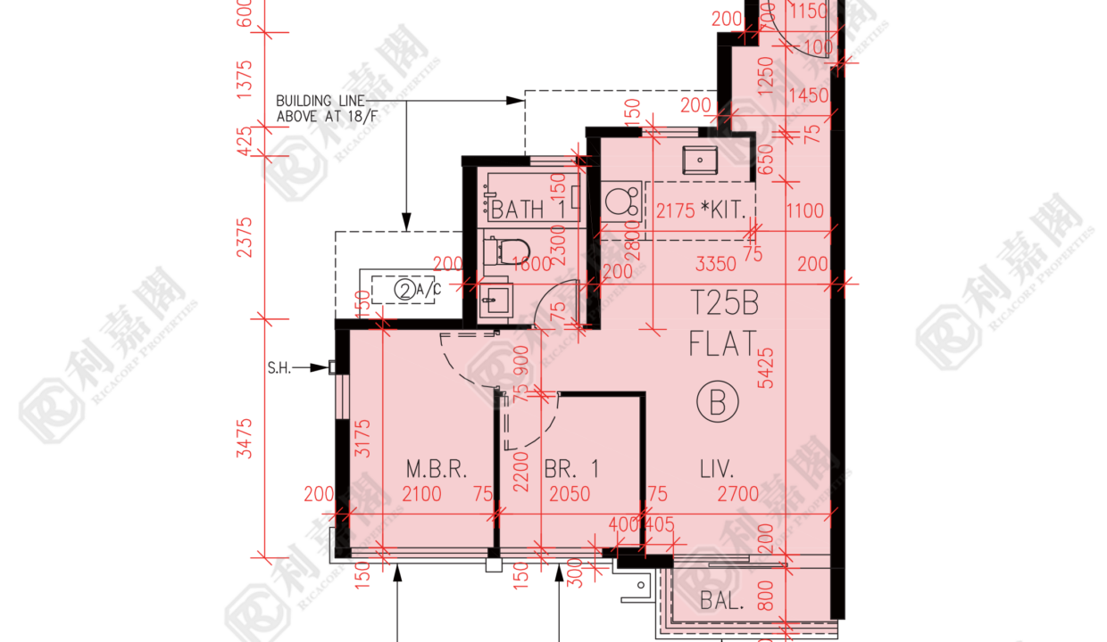 57305_2000_Ricacorp.png
