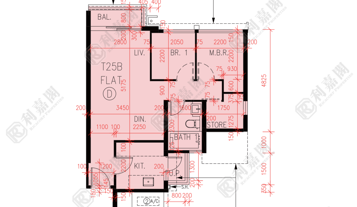57312_2000_Ricacorp.png