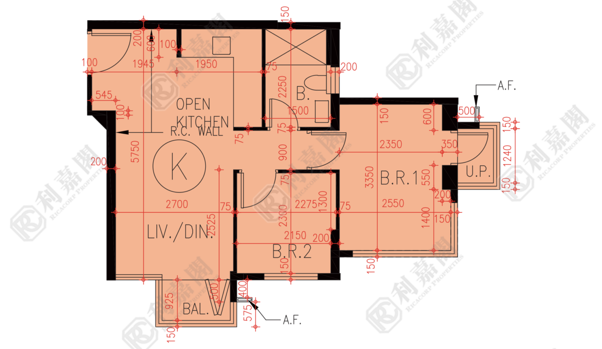 72941_2000_Ricacorp.png