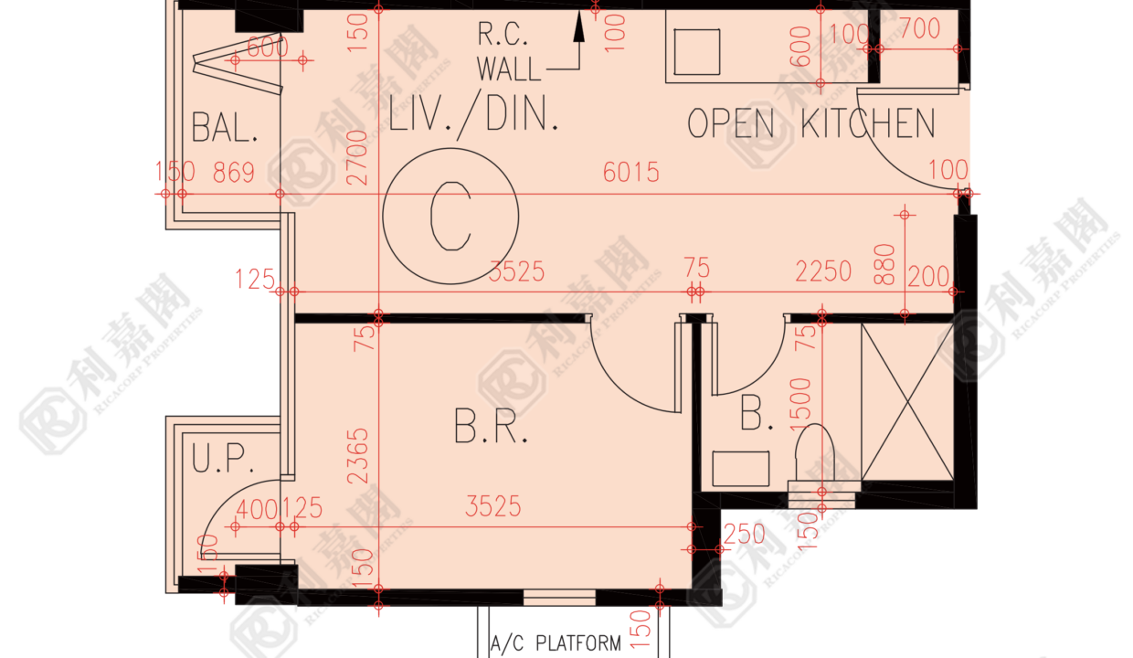 72964_2000_Ricacorp.png