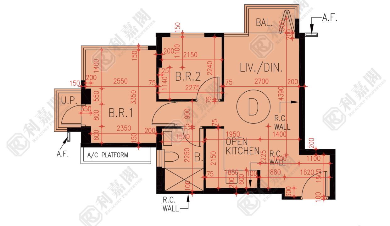72971_2000_Ricacorp.png
