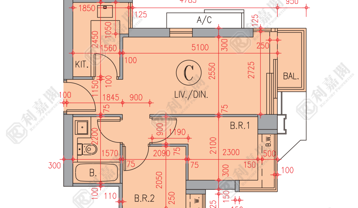 80701_2000_Ricacorp-1.png