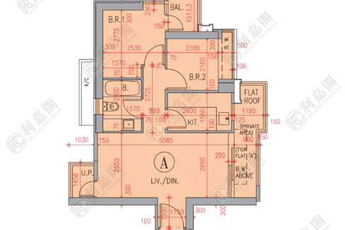 80706_2000_Ricacorp.png