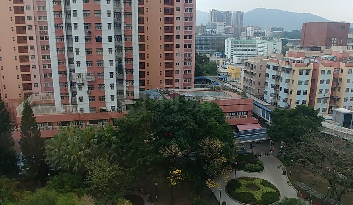 b33e9c1a-b952-4e9d-bfd7-08392d096dfd.jpeg