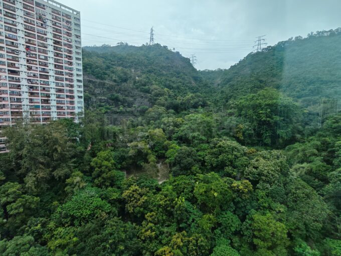 柏瓏 1A期 柏瓏 I 2座 - 元朗屋網 28YuenLong.com