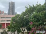 雍翠豪園 1座 - 元朗屋網 28YuenLong.com