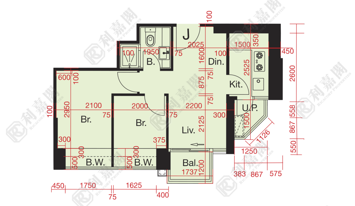 10619_2000_Ricacorp.png