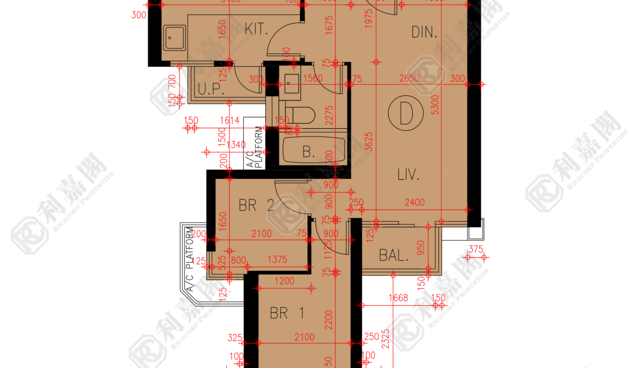 45608_2000_Ricacorp.png