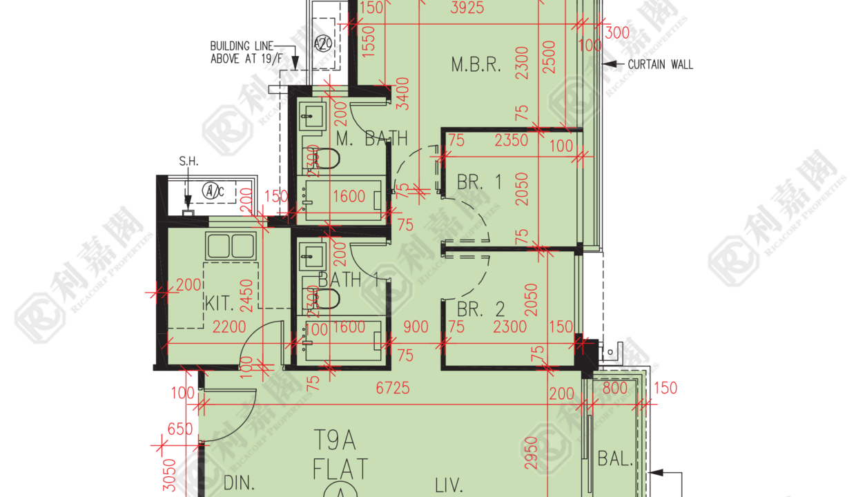 56838_2000_Ricacorp.png