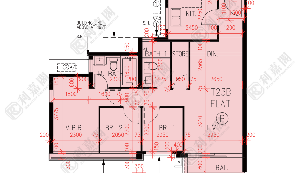 57277_2000_Ricacorp.png