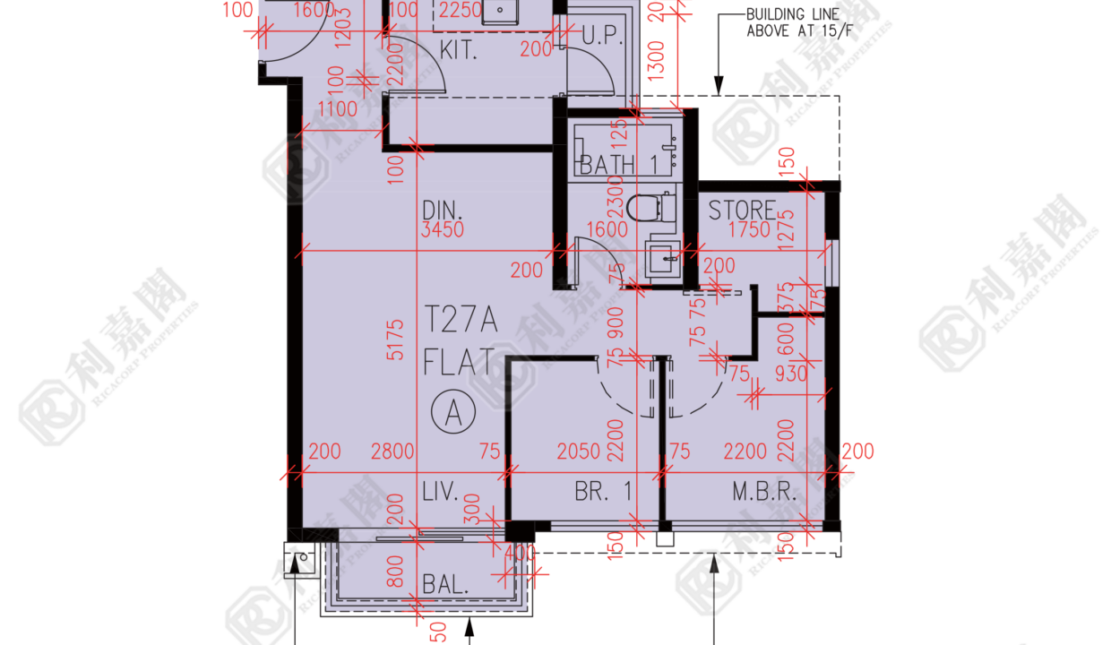57315_2000_Ricacorp.png