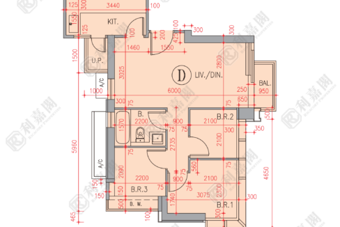80687_2000_Ricacorp.png