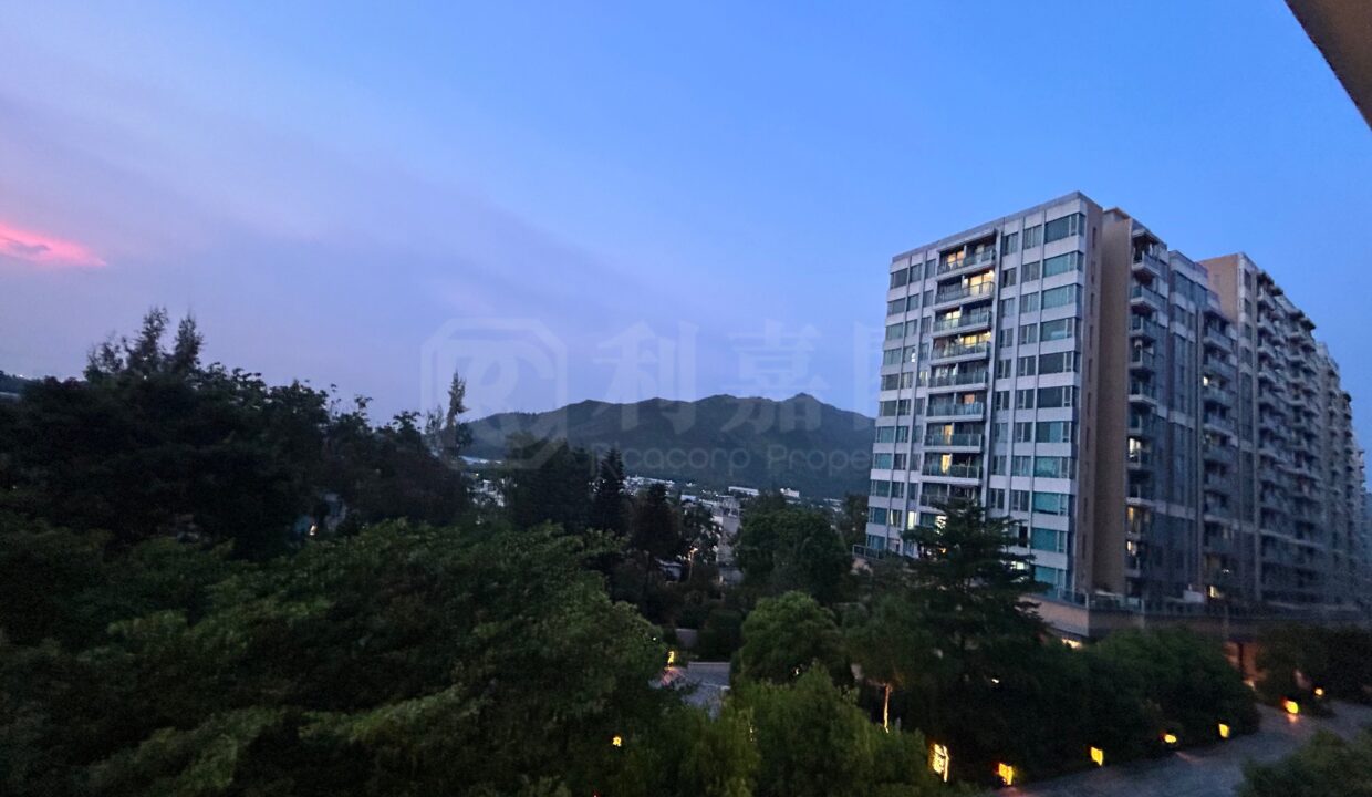c3d4f256-9564-4767-8ec0-e97eba42db1d.jpeg