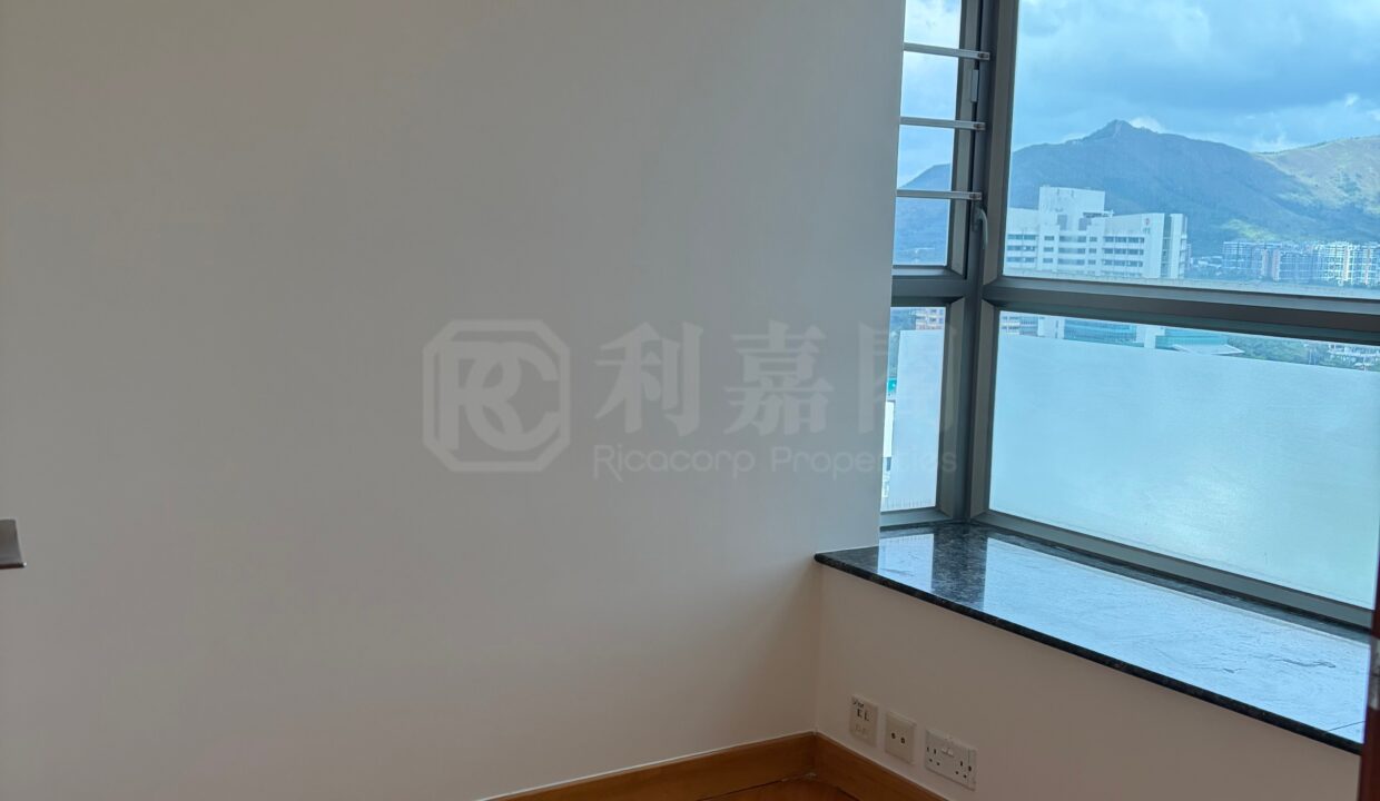 ee9c7838-3408-4bb0-82a6-30978e48244b.jpeg