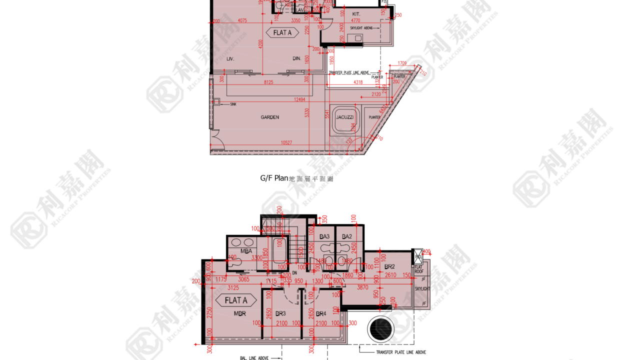 102631_2000_Ricacorp.png