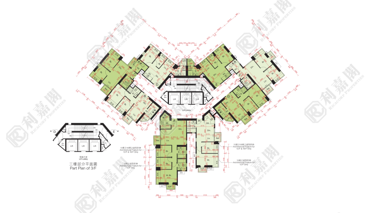 10502_2000_Ricacorp-1.png