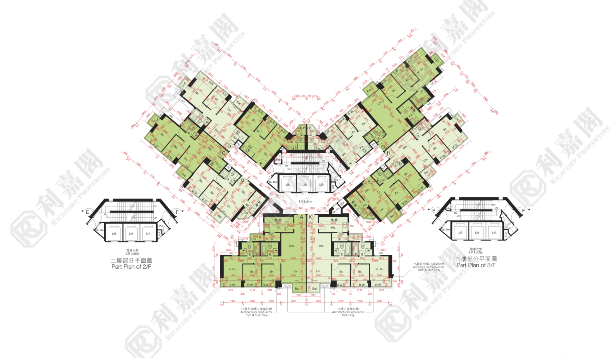 10507_2000_Ricacorp-1.png
