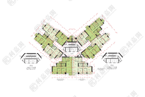 10507_2000_Ricacorp-1.png