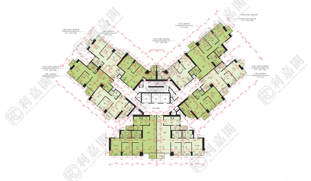 10508_2000_Ricacorp-2.png