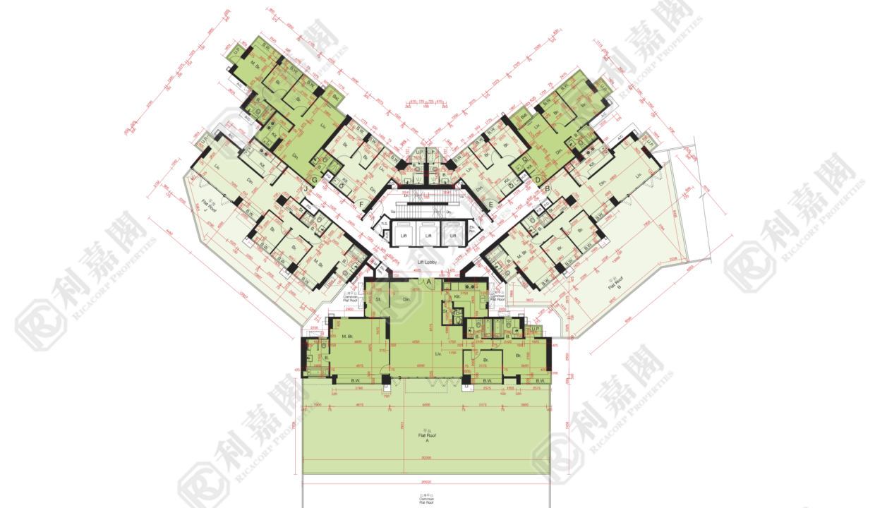 10509_2000_Ricacorp.png