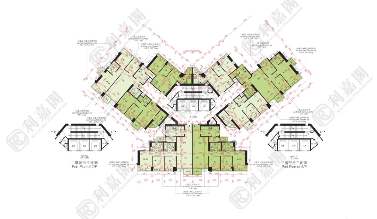 10513_2000_Ricacorp-9.png