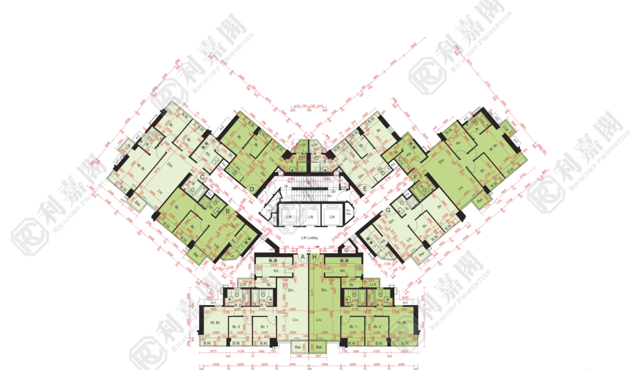 10514_2000_Ricacorp-1.png