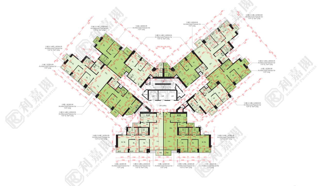10516_2000_Ricacorp-6.png