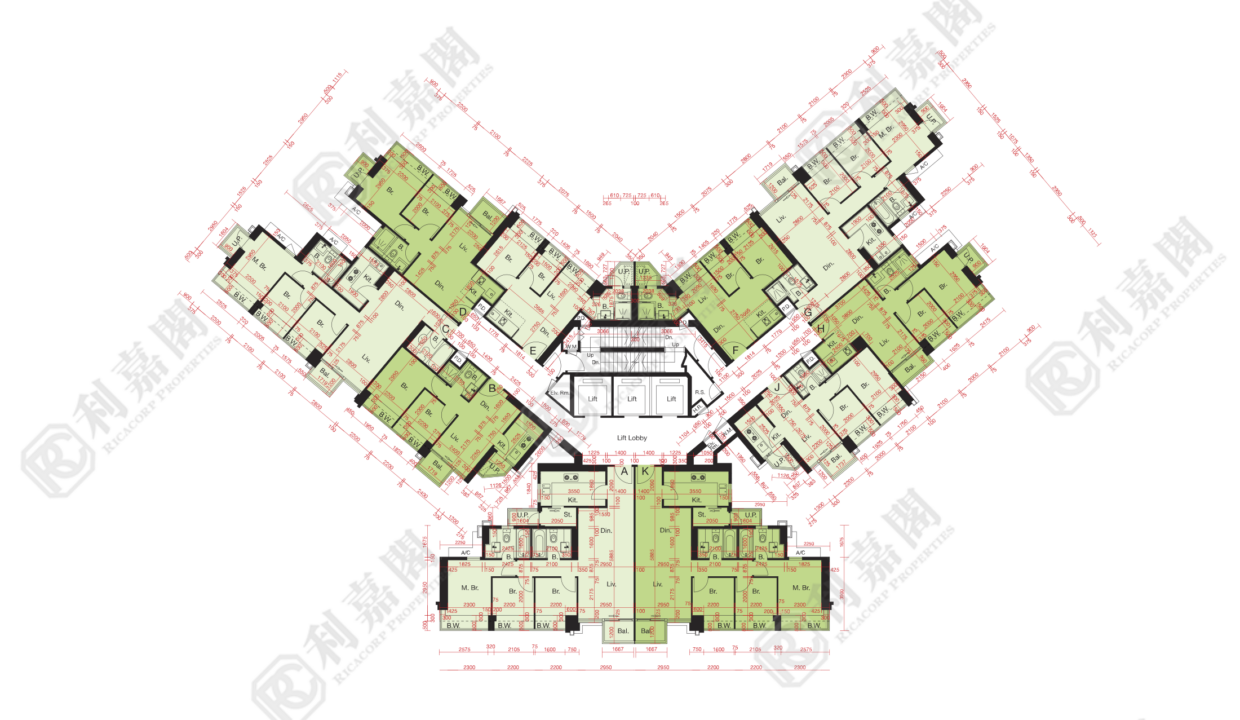 10517_2000_Ricacorp.png