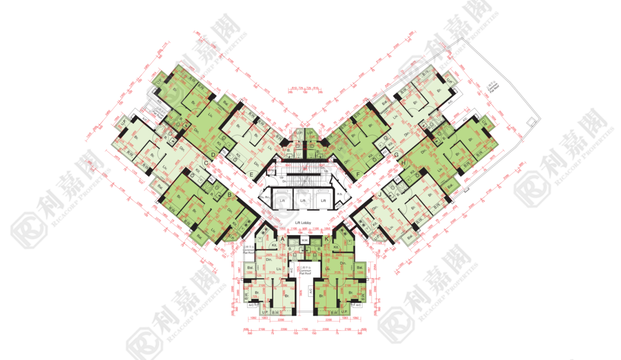 10518_2000_Ricacorp-1.png
