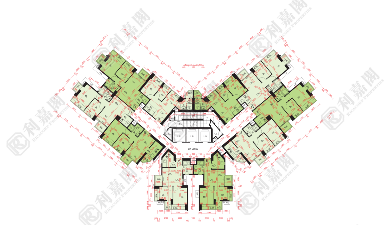 10520_2000_Ricacorp.png