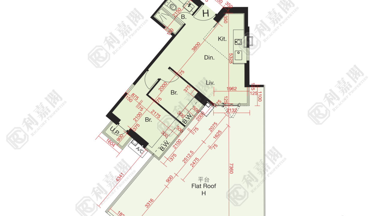 10710_2000_Ricacorp.png