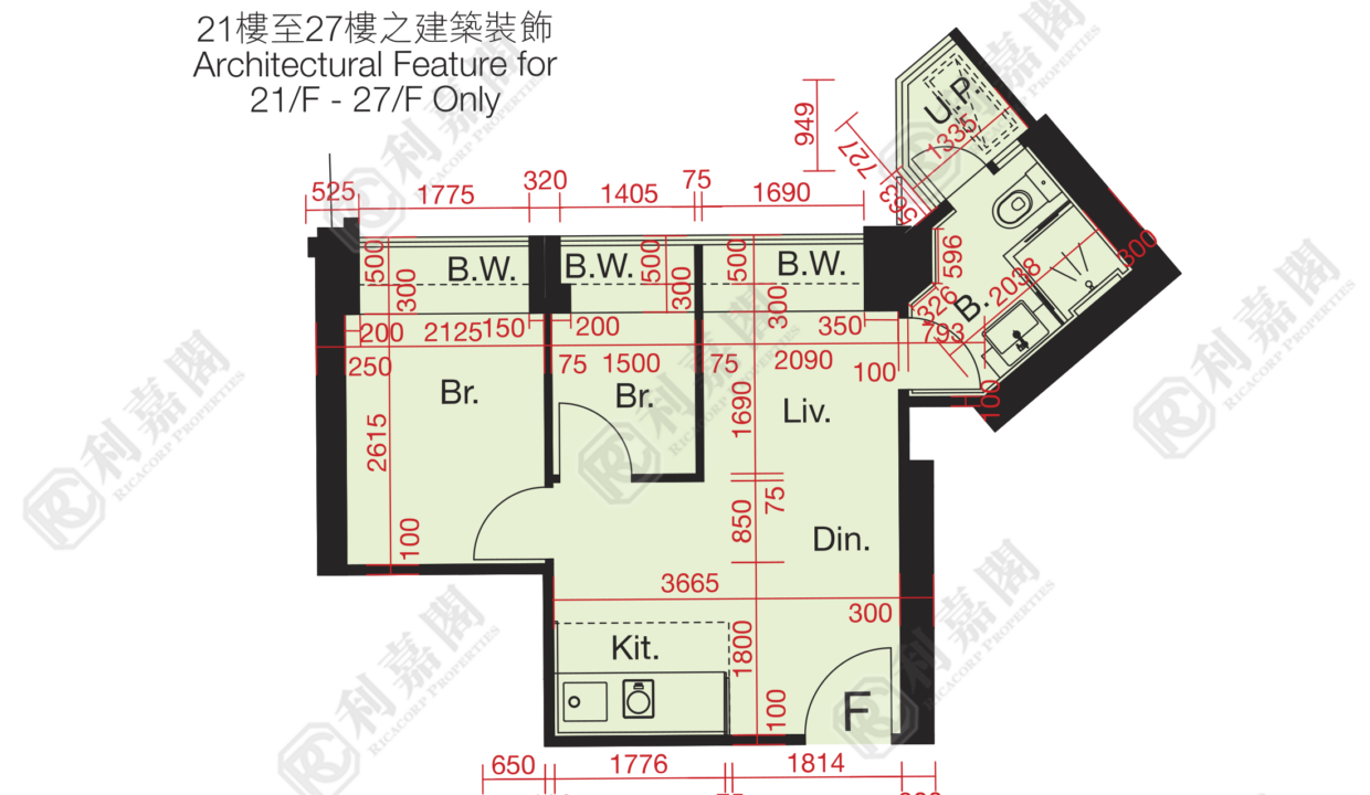10811_2000_Ricacorp-1.png