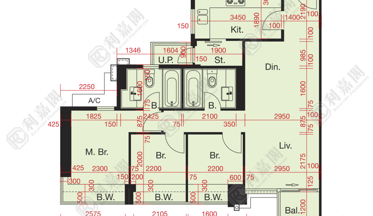 10814_2000_Ricacorp.png