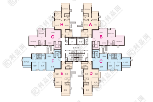 11182_2000_Ricacorp.png