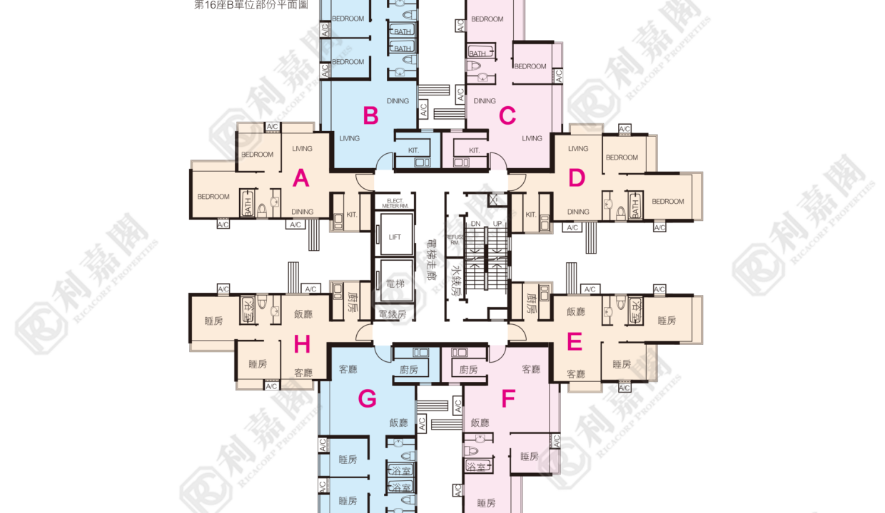 11183_2000_Ricacorp-1.png