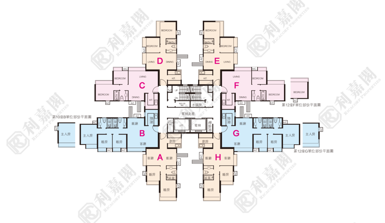 11187_2000_Ricacorp.png