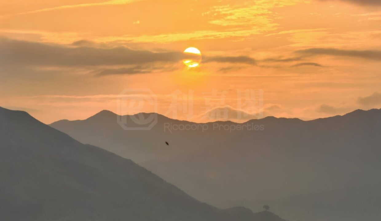 11a97917-f6dc-46a5-ae18-42b9943995f0.jpeg
