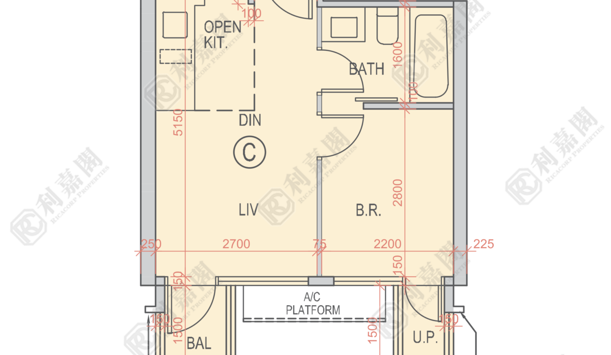 121347_2000_Ricacorp.png